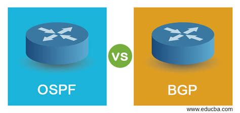 OSPF vs BGP | Learn the Key Ddifferences and Top Comparisons