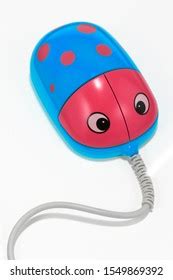 Image result for Ladybug Computer Mouse
