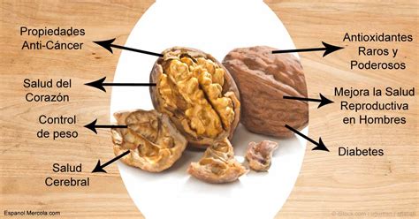 7 Beneficios de Comer Nueces - Nutrición de las Nueces