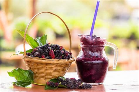 Top 5 Reasons Why You Need to Eat Mulberries | India.com