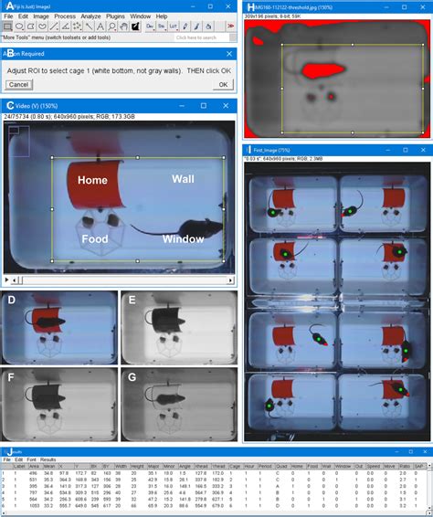Image result for Computer Assistant Image Analysis ImageJ