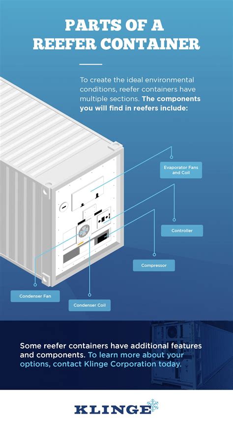 Image result for Sorting in Reefer Container