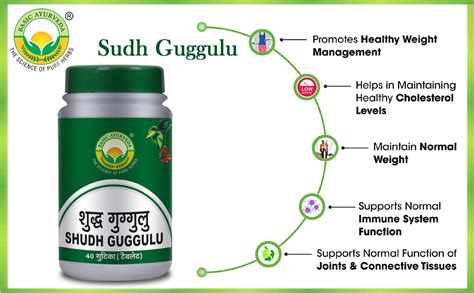 Buy Basic Ayurveda Sudh Guggulu – 40 Tablets x 3 Packs | Ayurvedic ...
