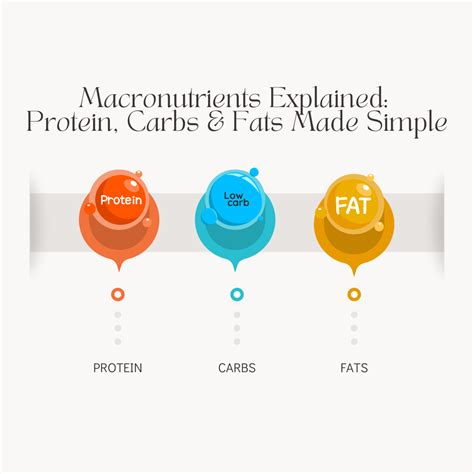 Macronutrients Explained: Protein, Carbs & Fats Made Simple – Prustlr