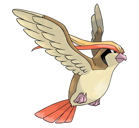 Pidgeot - WikiDex, la enciclopedia Pokémon