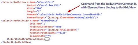 Image result for RadGridView WPF Tutorial