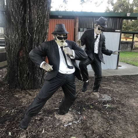 MANNING PARK REST (Taree) - Campground Reviews & Photos - Tripadvisor