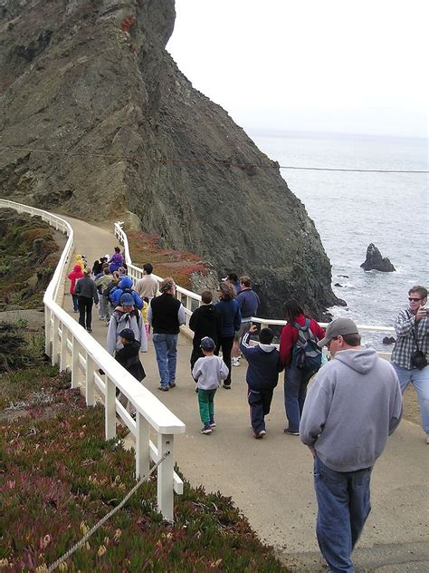 Christopher Allen Laney Obituary (2025) - Fostoria, OH - Harrold ...