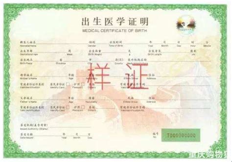 重庆新生儿出生证明、社保、身份证、护照、港澳通行证办理指南-宝宝秀-婴幼育儿-重庆购物狂