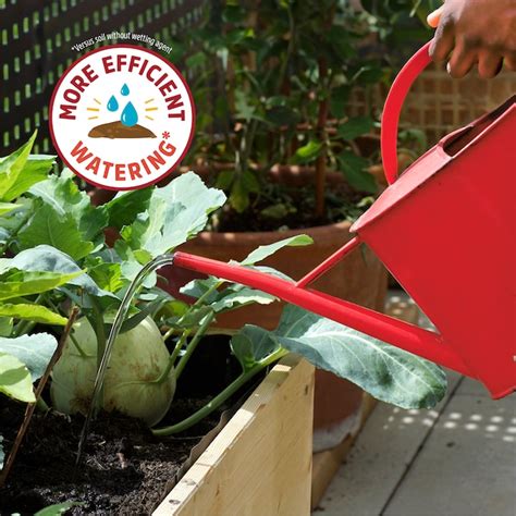 Back to the Roots All-purpose Organic Raised Bed Soil 47015-DS at Lowes.com