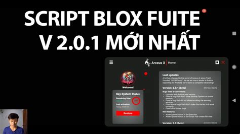 Image result for Blox Fruit AutoFarm Script Update 17