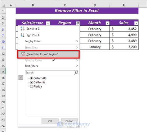 Image result for Excel Remove Filter From One Column