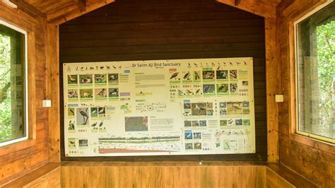 Experience the Dr Salim Ali Bird Sanctuary in Goa | Incredible India