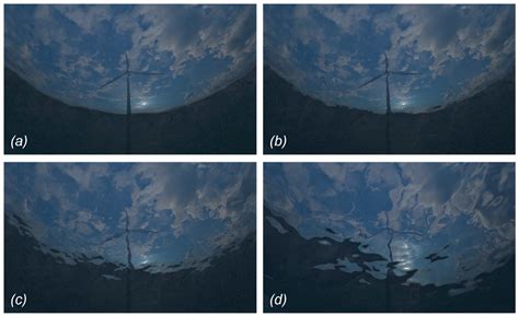 Potential Exposure of Aquatic Organisms to Dynamic Visual Cues ...