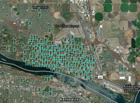 Invasive Japanese beetles surge in Pasco and Kennewick | Tri-City Herald