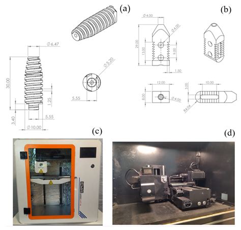 Experimental Analysis of Stress Shielding Effects in Screw Spacers Placed in Porcine Spinal Tissue