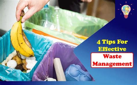 Image result for How to Remove Waste Effectively