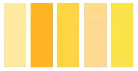 黄色代表什么颜色寓意（黄色代表的颜色寓意）