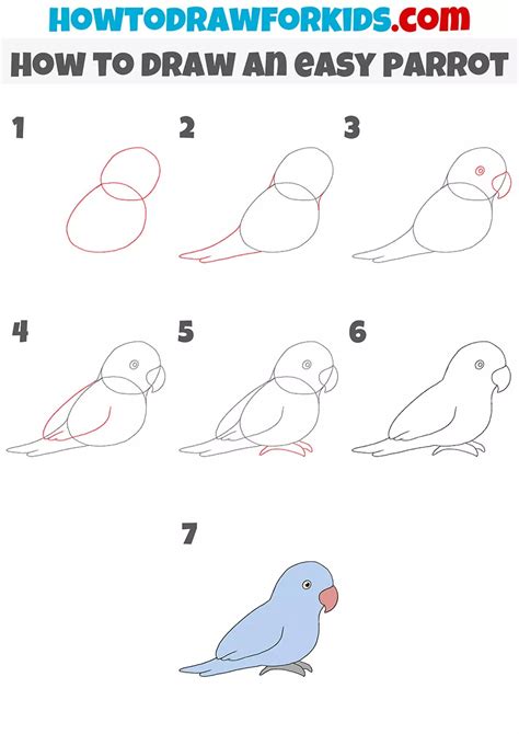 Image result for How to Draw a Parrot Two