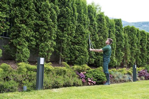 Careers - NorthStar Memorial Group