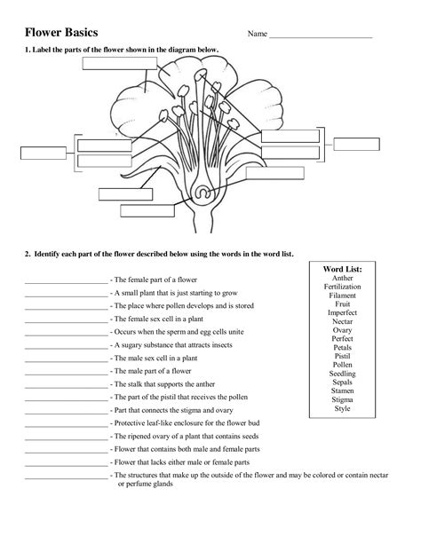 Flower Structure Label Worksheet | Best Flower Site