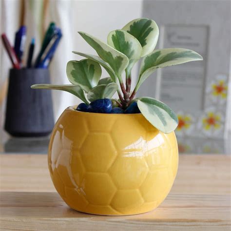 UGAOO Football Ceramic Pot (Yellow) : Amazon.in: Garden & Outdoors