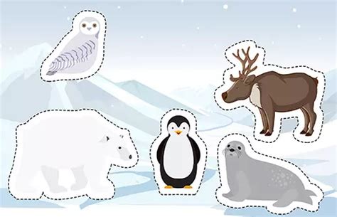 Sorting Activity Environment 的图像结果