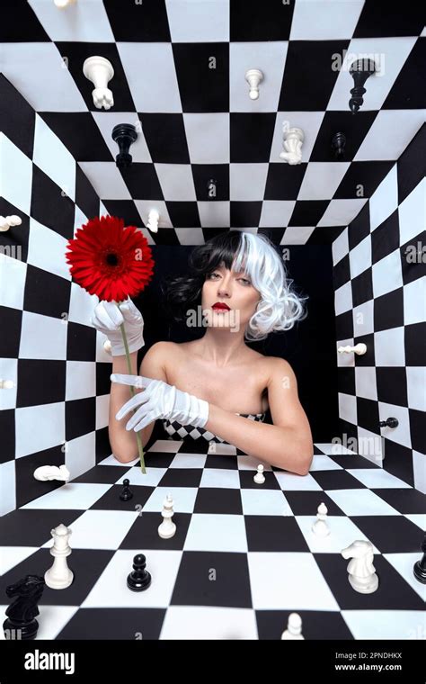 Image result for Chess Is Beautiful