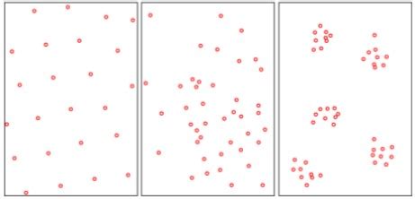 Image result for Examples of Distribution Patterns