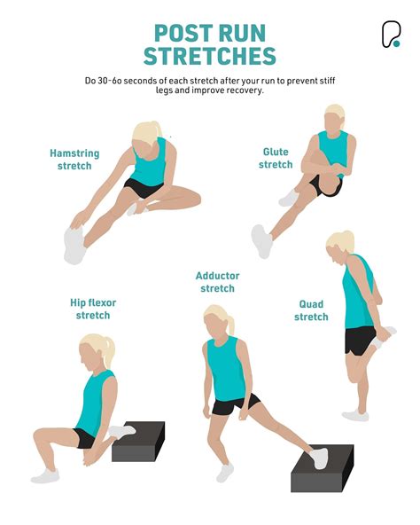 Stretching Exercises For Flexibility Legs