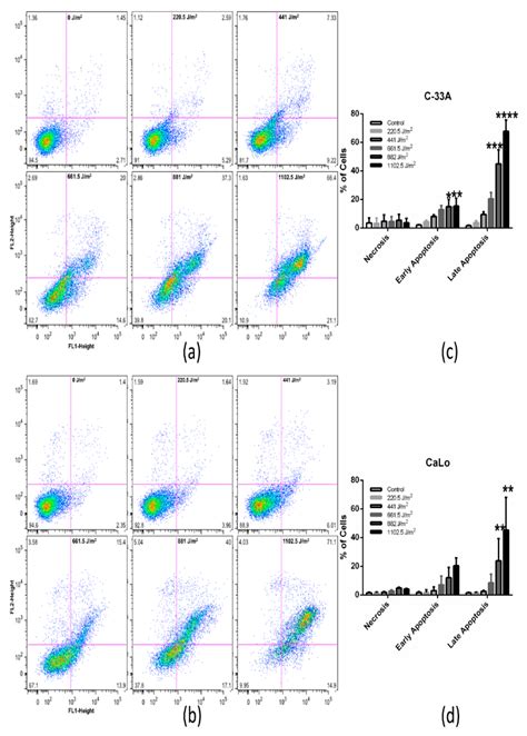 UVB Inhibits Proliferation, Cell Cycle and Induces Apoptosis via p53 ...
