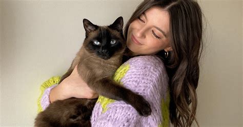 Image result for Help Me Cat