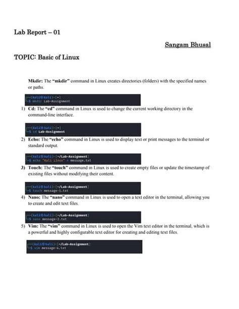 Computerized Lab Report 的图像结果