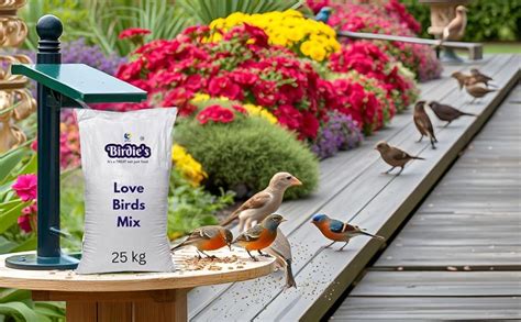 Buy Birdie's Love Birds Mix Bird Food, 25 kg Bulk Bag Online at Low ...