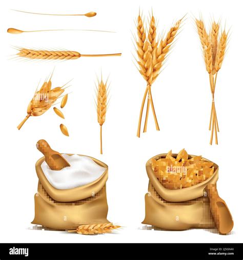 Vector set realistic canvas bags full of grains or cereals, flour ...