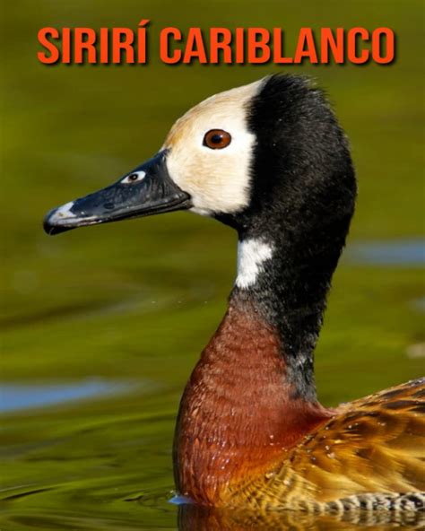 Buy Sirirí cariblanco: Libro para niños con imágenes asombrosas y datos ...