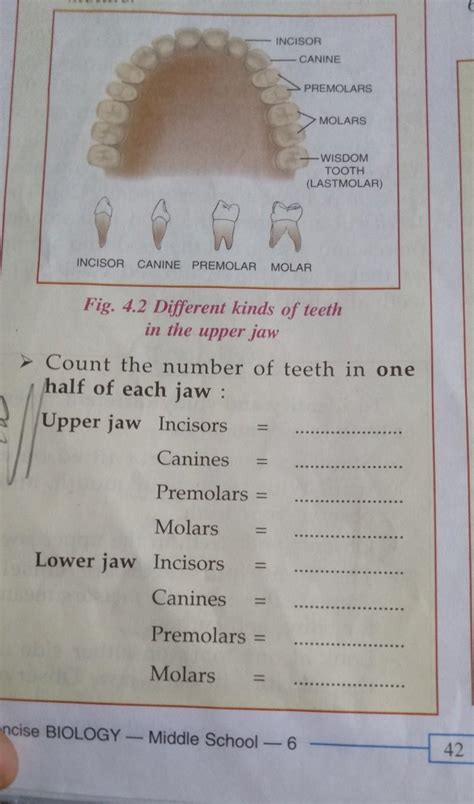 please answer this question - Brainly.in