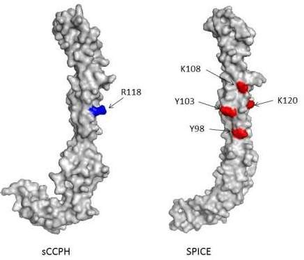 National Centre for Cell Science