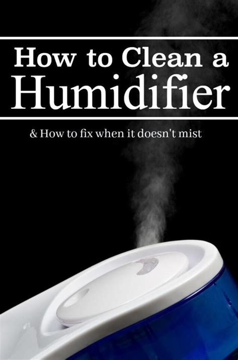 Image result for How to Clean Humidifier
