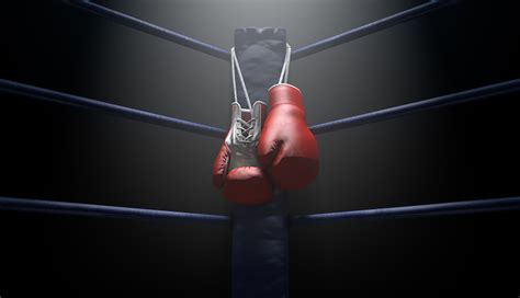 Boxing Match Heavyweight 的图像结果