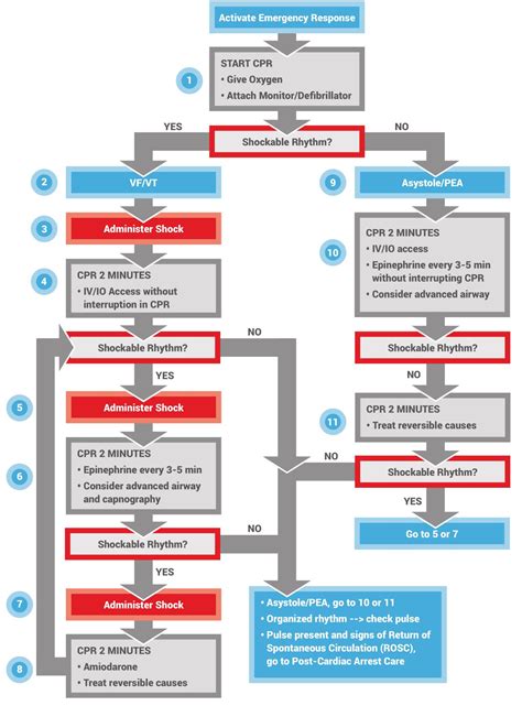 Image result for Pals Blood Pressure Algorithm