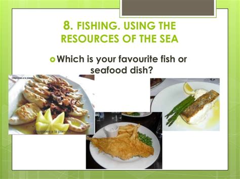 Basic Sector 的图像结果