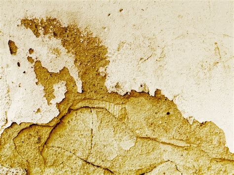 Поталь Изображения – скачать бесплатно на Freepik