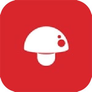 Image result for PrintMaster Icon