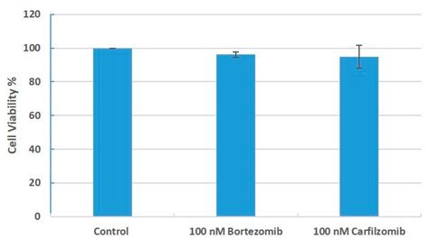 Proteasomal Inhibition with Bortezomib Causes Selective Autophagy ...