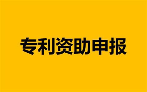 “网红”企业出圈同时 亚洲总部缘何落户成都青白江？_凤凰网