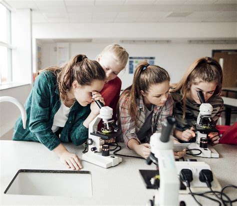 Image result for Talent Identification and Development Process