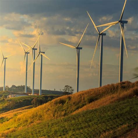 NISO Wind Energy Pvt Limited - Renewable Energy | Wind Energy | Solar ...