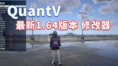 How to Install Quantv 的图像结果
