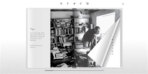 Image result for What Is Shaddowing in JavaScript